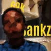 .sankz2