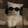 jnxshiv_6565