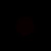 brxz106