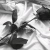 nomalum_31