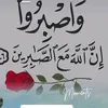 user99010295727817