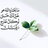 user20499834682910