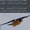 user1334801367181