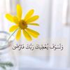 user226221720774