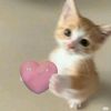 Llia Chan