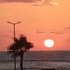 fadlam33