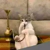 user940716689