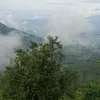 murdaniiii1