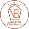 Ganadería Villa Berlin🥇