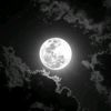 luna_lovers8