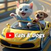 cats.dogs.bk