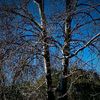 elnur_babayev15