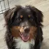 clementinethemini