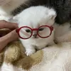_kitty5022