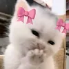 its........iman