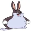 chunkierabbit