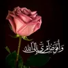 user5078120246337