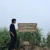 vibrielll