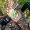 ourproudpakarmy
