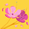 long.pham.quang6