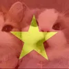 letrang143