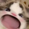 thusocbumi