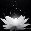 _meo_meo_7