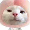 _thao_nhien_