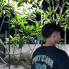 saa_jibss