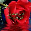 جارة القمر
