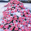 mohammad.salim.am4