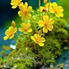 mdarshad7912