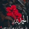 user2615429007249