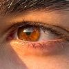 babayev_346