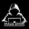 Analis Senior