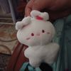 mohdnizam337p