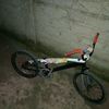 triplex2449