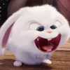 carotz2