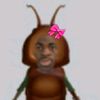 cawysta__