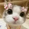 mimi100390