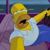 homer.simpson008