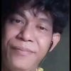pian55230