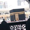 user7363262334718