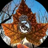 toiyeurealmadrid3
