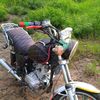 user6524073781702