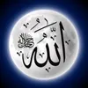 a_._h.313r