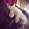 nqbaochau_13