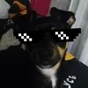 marianec3n2