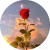 user23501629229226