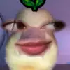 marsiska7